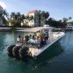 Harbour Tour