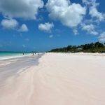 Pink-Sands-Beach