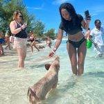 Rose Island Swimming with Pigs