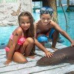 Two-kids-and-a-shark