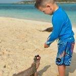 Boy Feeding Iguana Min | Boat Tours Nassau Bahamas