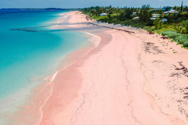 Pink Sand Beach | Private Boat Tours Nassau Bahamas