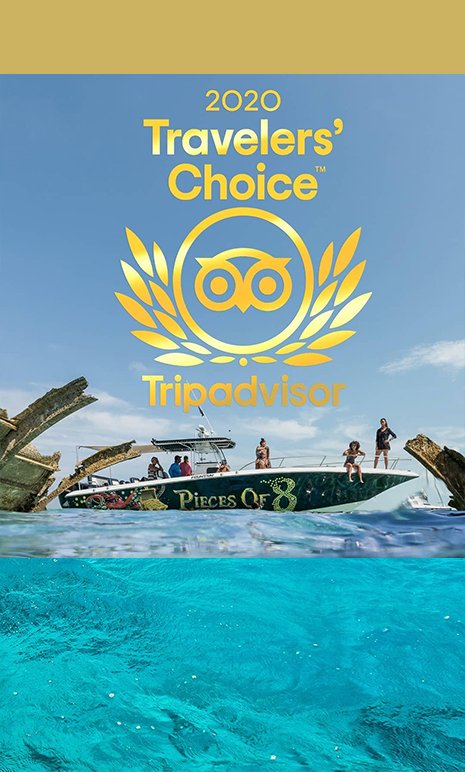 Travelers Choice
