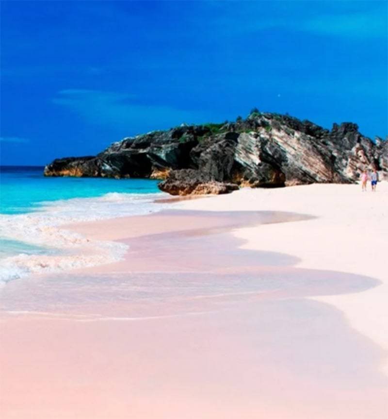 pink sand beach