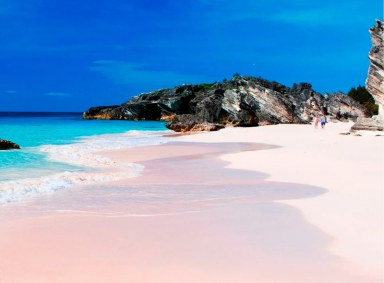 Beautiful Pink Sand Beach