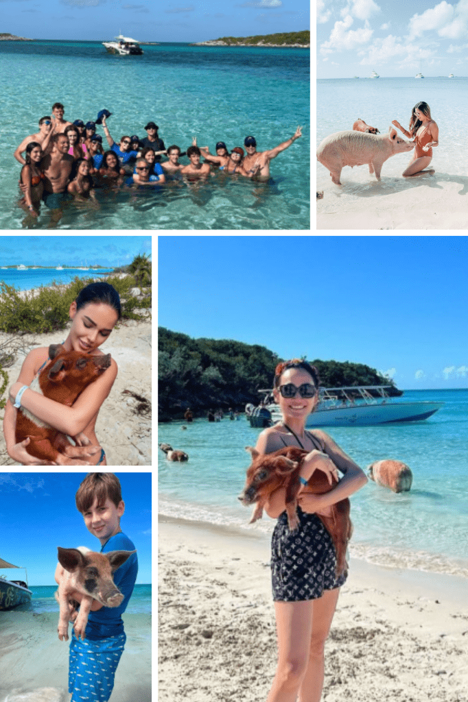 Preparing for Your Exuma Swim with Pigs