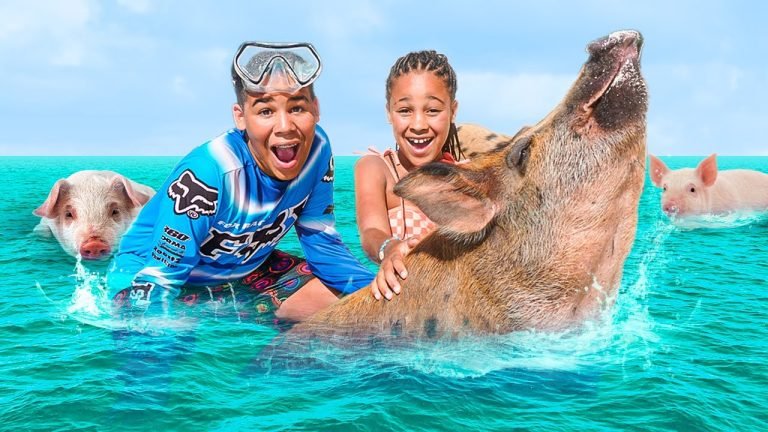 Exuma Bahamas Swim With Pigs
