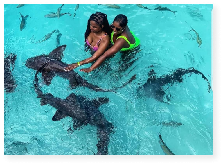 Exuma Bahamas Swim With Pigs