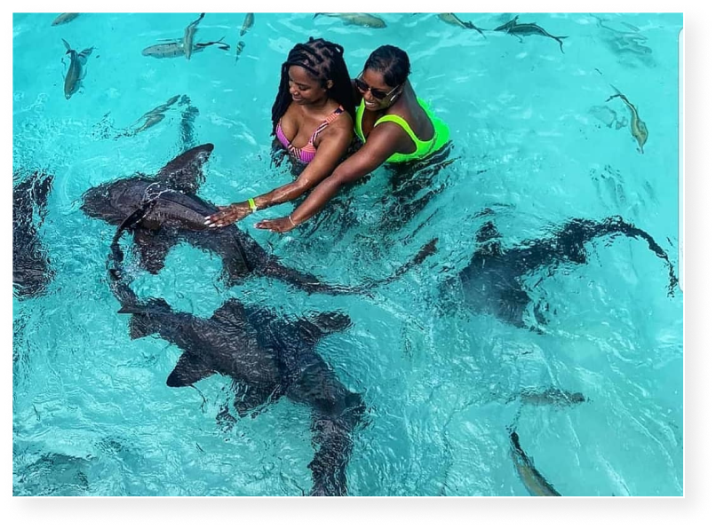 Exuma Bahamas Swim With Pigs