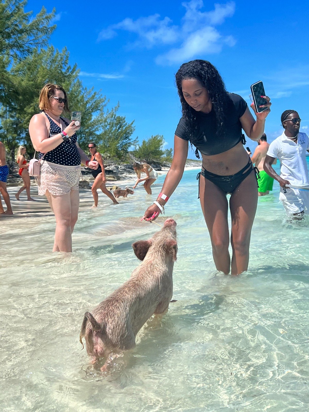 Tour Harbour Island’s Pink Sands