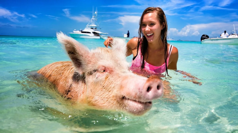 Boat Tours in Nassau
