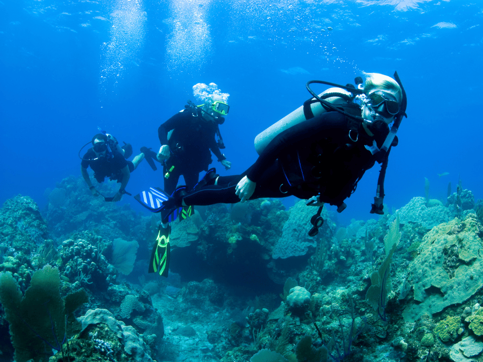 Bahamas Boat Tours