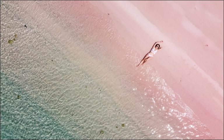 The Swimming Pigs of Exuma