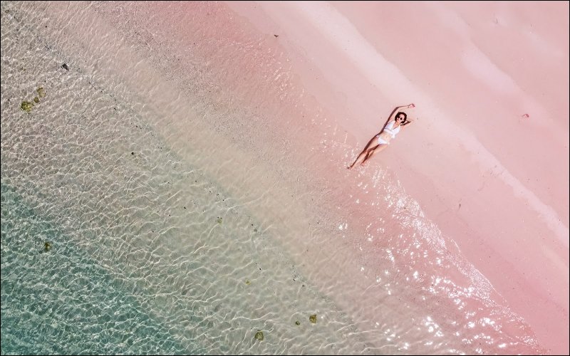 The Swimming Pigs of Exuma