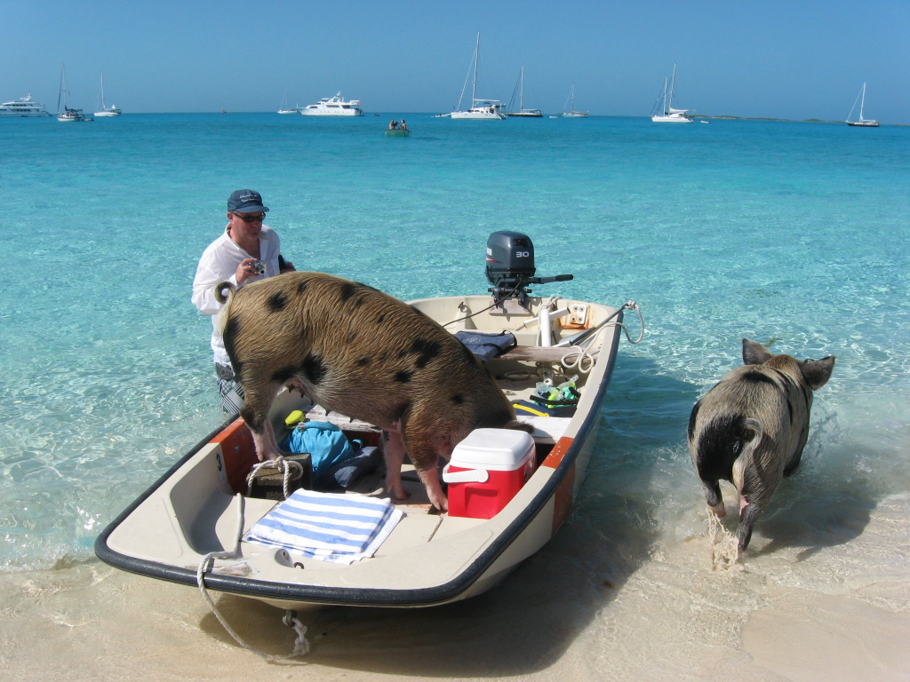 Bahamas Boat Tours