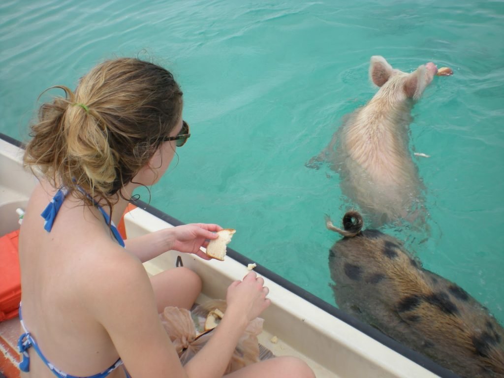 Harbour Island Excursions