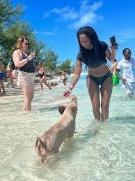 Harbour Island Excursions